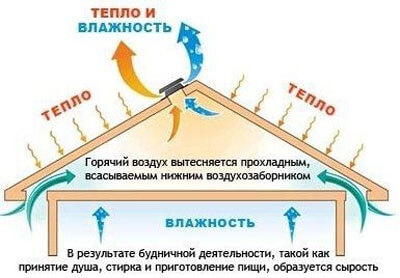 система вентиляции кровли