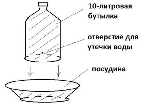 Как сделать поилку для цыплят своими руками