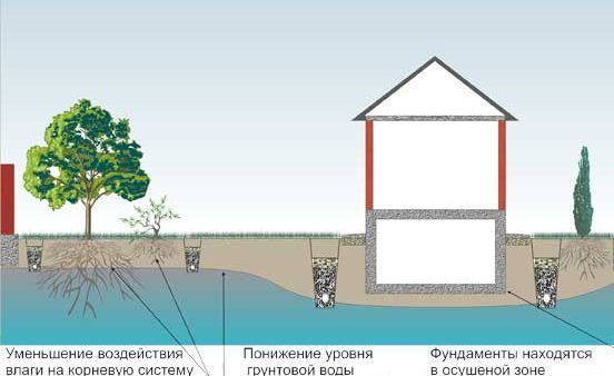 Уровень грунтовых вод значительно влияет на выбор основания