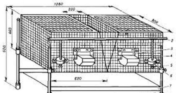 Чертеж кроличьей клетки