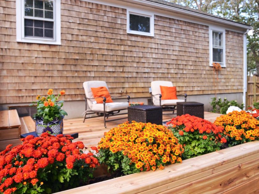 hgoyd101_detail-deck-plantings-5058_s4x3-jpg-rend-hgtvcom-1280-960