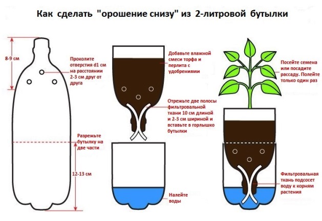 Орошение снизу при помощи 2-литровой пластиковой бутылки