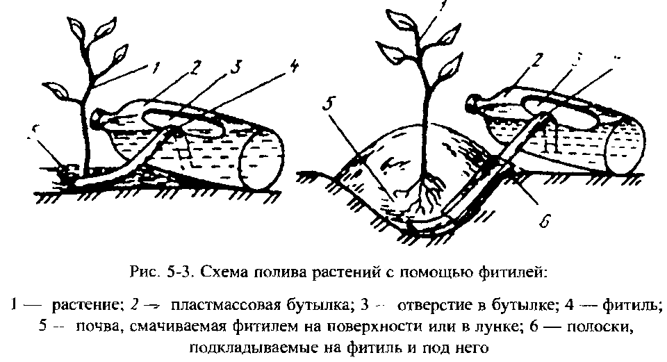 Пример простой системы капельного полива