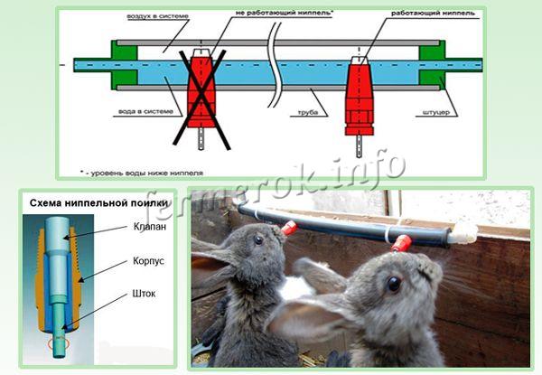 Установка ниппельной поилки