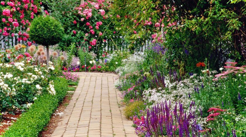 wonderful-cottage-garden-design-plans-with-garden-design-and-landscaping