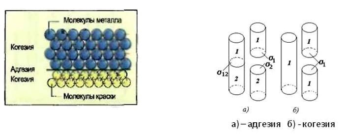 Схематическое изображение эффекта адгезии и когезии