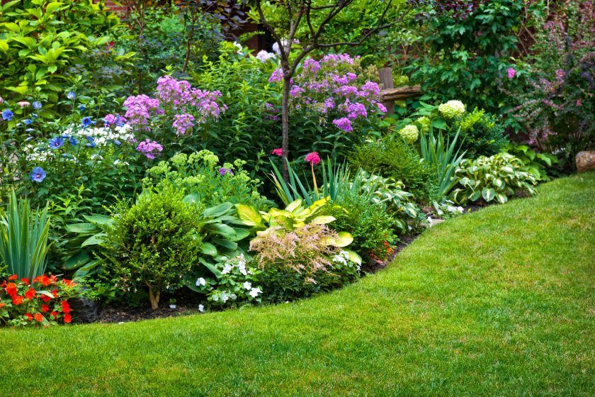 cottage-garden-path-country-flower-gardens-paths-c411ba4bec1c9cf4