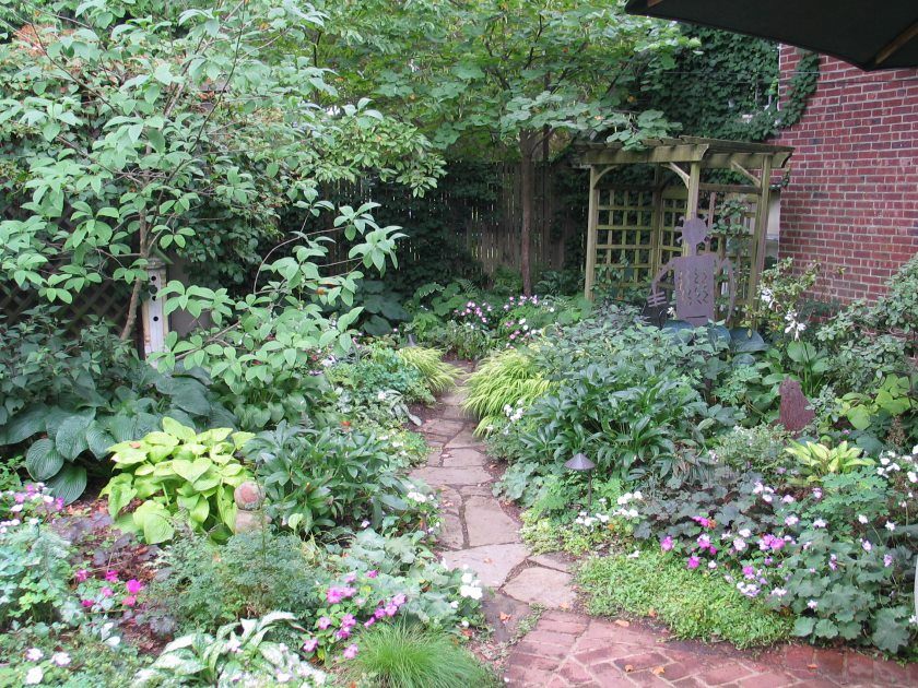 cottage-garden