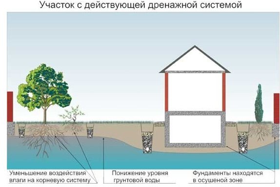 Дренажная система на участке для отвода воды