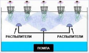 Гидропоника - вред6