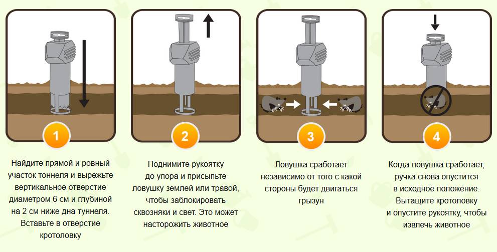 Уничтожить всех особей на участке