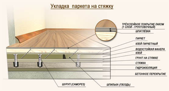 Укладка паркета на стяжку