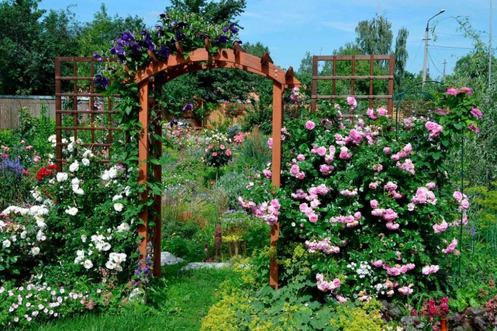 Садовая арка в цветнике