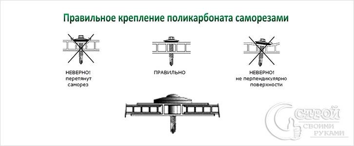 Правила крепления поликарбоната саморезами