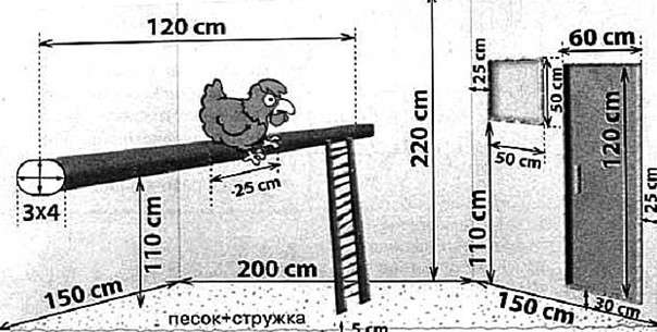 расзмеры птичника в курятнике на 10-20 кур