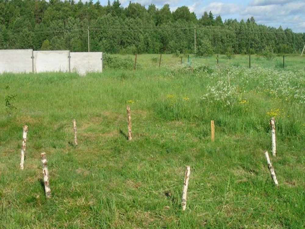 Делаем разметку под высадку веток ивы для живой беседки