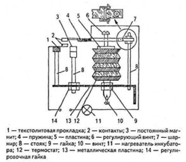 schema_033333