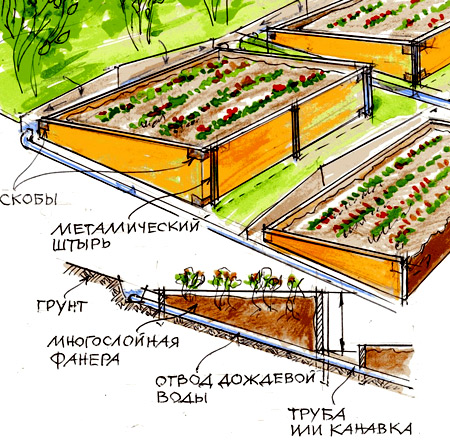 грядки террасы