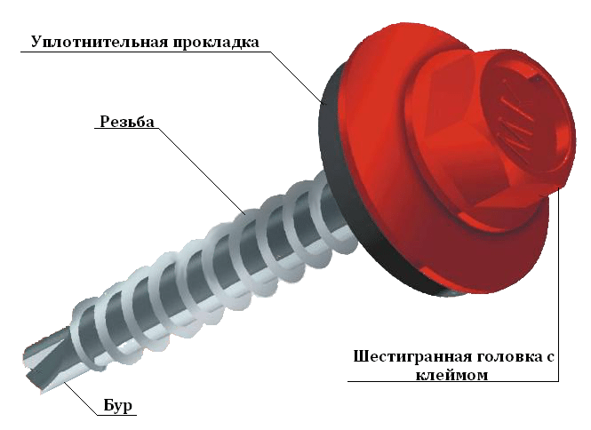 Специальный профнастильный саморез