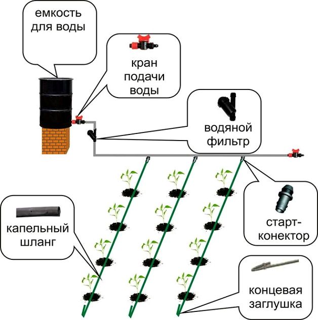 Поливаем зелень на балконе