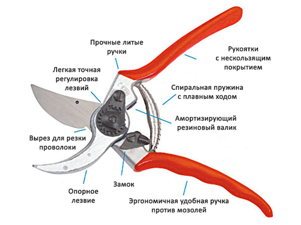 Устройство секатора