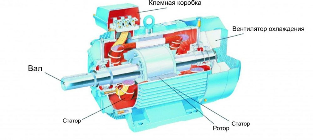 Устройство двигателя асинхронного типа позволяет ему работать долго и относительно бесшумно