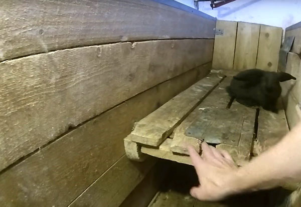 деревянный вольер для кроликов