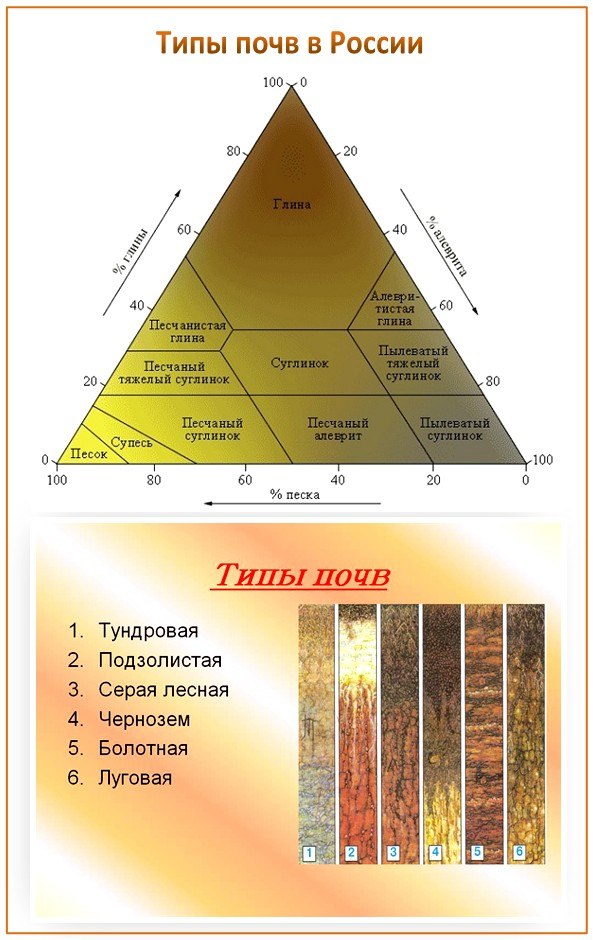 Типы почв