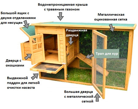 Как сделать и построить курятник