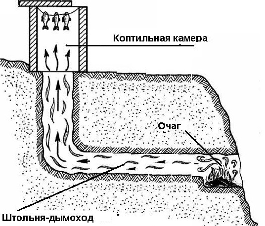 коптильня холодного копчения своими руками фото