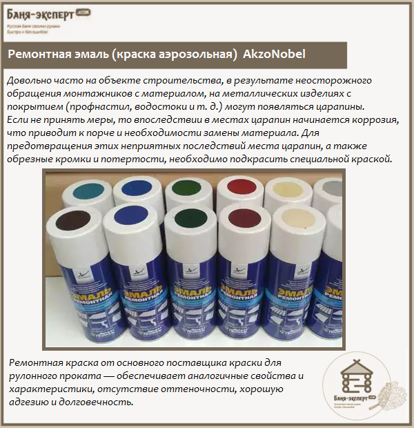 Ремонтная эмаль (краска аэрозольная) AkzoNobel